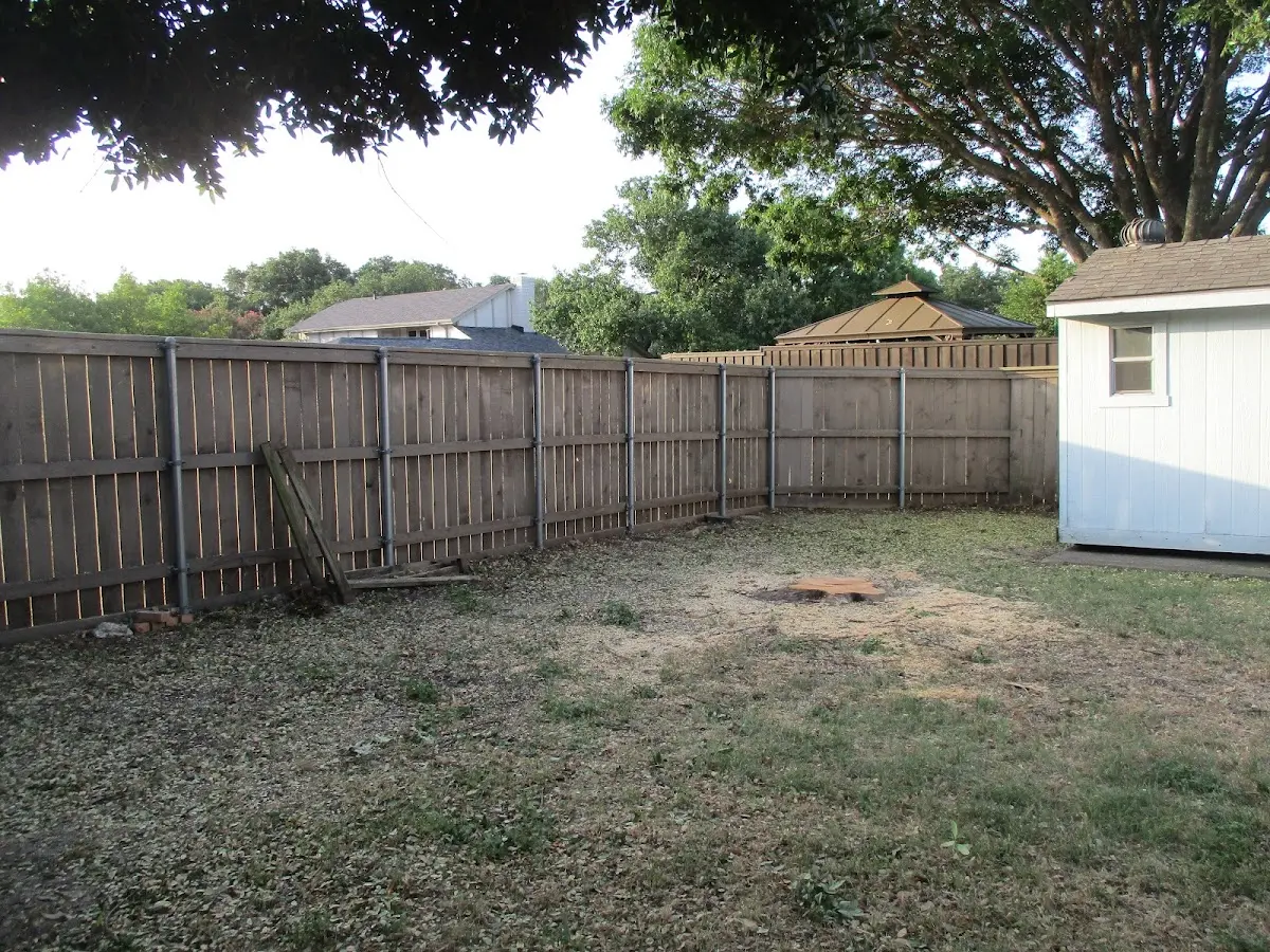 Cleared yard after professional tree removal in Jeffersonville